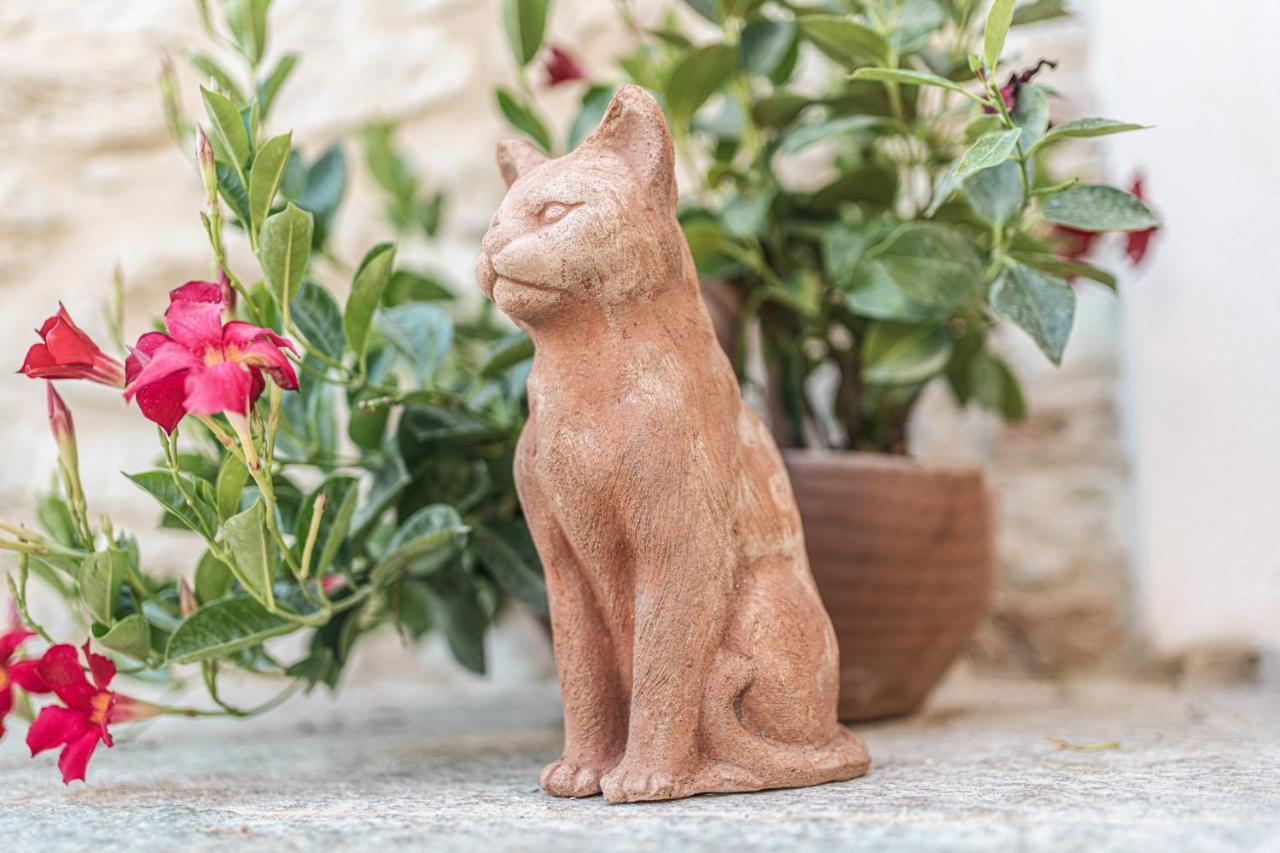 Borgo Dei Gatti Albergo Diffuso & Spa Golferenzo Eksteriør bilde